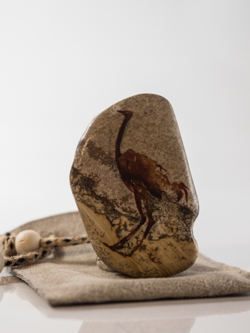 Painted Rock - Ostrich