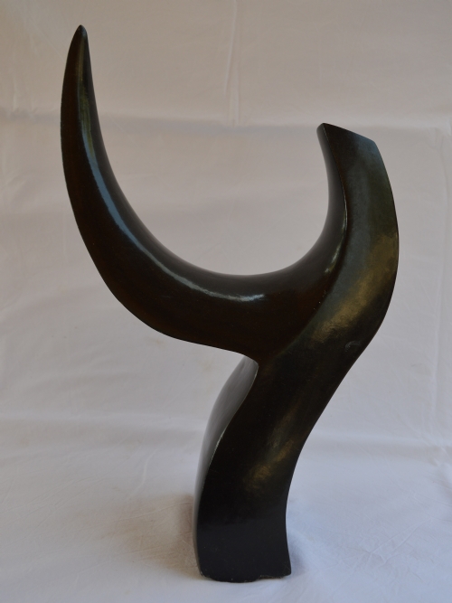 Rhino Horn