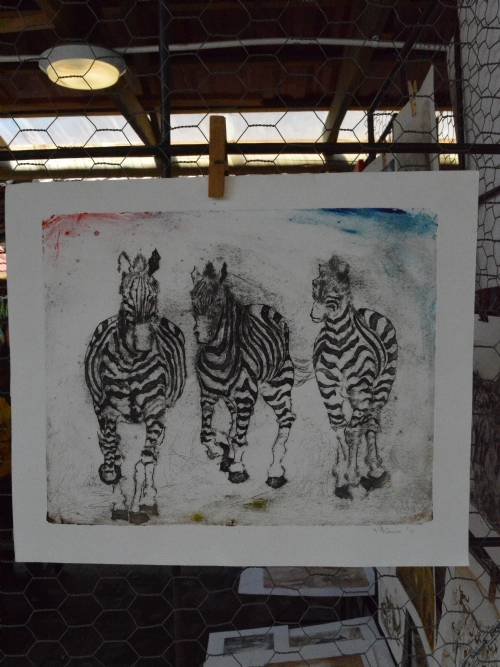 Zebras