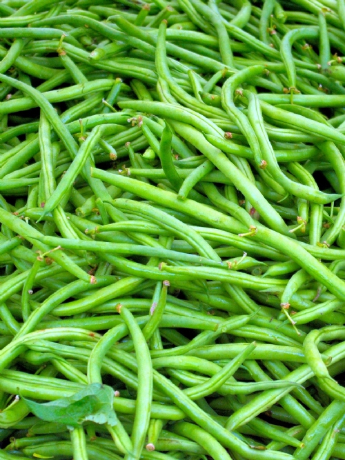 Green Beans, 4kg