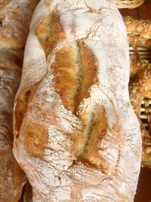 French Ciabatta, plain