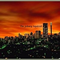 JoburgSquirrel