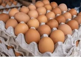 Eggs 30