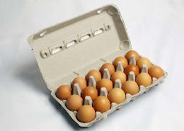 Eggs 18