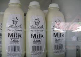 Cows milk