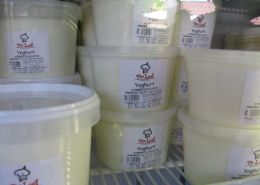 Yoghurt