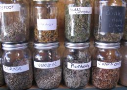 Herbs