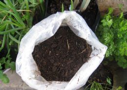 Compost